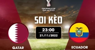 Soi kèo bảng A World Cup: Qatar vs Ecuador