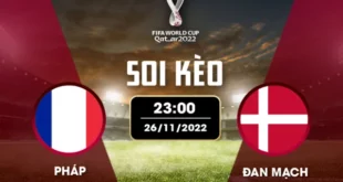 Soi kèo bảng D World Cup: Pháp vs Đan Mạch