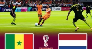 Soi kèo dự đoán tỷ số trận Senegal và Hà Lan