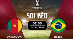 Soi kèo bảng G World Cup: Cameroon vs Brazil