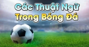 Các thuật ngữ bóng đá tiếng Việt